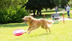 Exercise Requirements To Minimize Boredom Related Barking